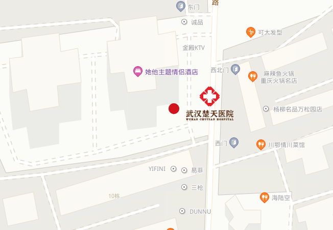 武汉楚天医院地图